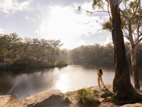 Woman enjoying a walk along the banks of the Parramatta River, Parramatta