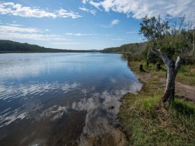 Perch Hole picnic area, Lake Innes Nature Reserve. Photo: John Spencer/NSW Government