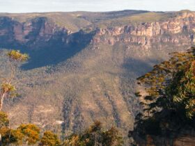 Perrys Lookdown to Blue Gum Forest, Blue Mountains National Park. Photo: Craig Marshall © OEH