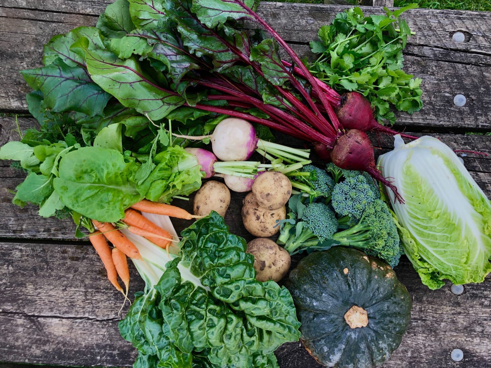 picture of mixed seasonal, fresh, organically grown vegetables grown on the farm.