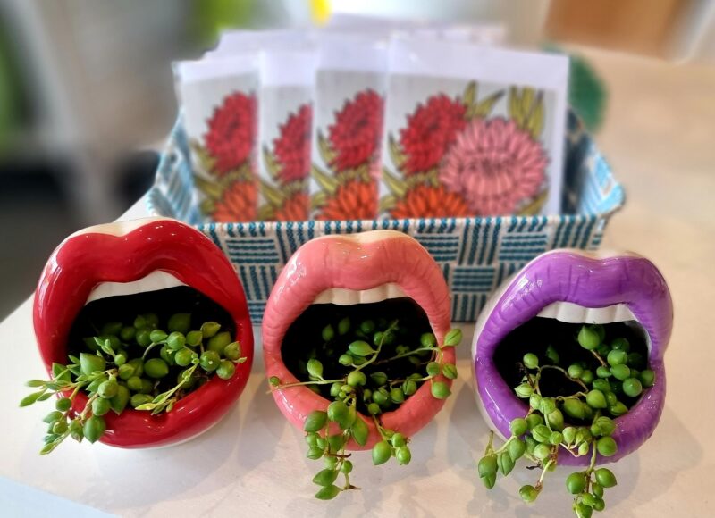 Lip Planters