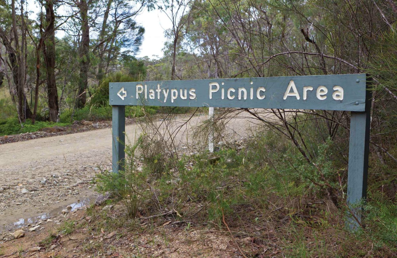 Platypus picnic area, Gibraltar Range National Park. Photo: Rob Cleary