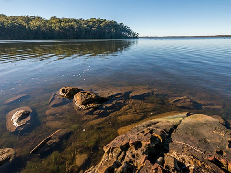 Queens Lake Nature Reserve. Photo: John Spencer © DPIE