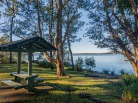 Queens Lake picnic area, Queens Lake Nature Reserve. Photo: John Spencer