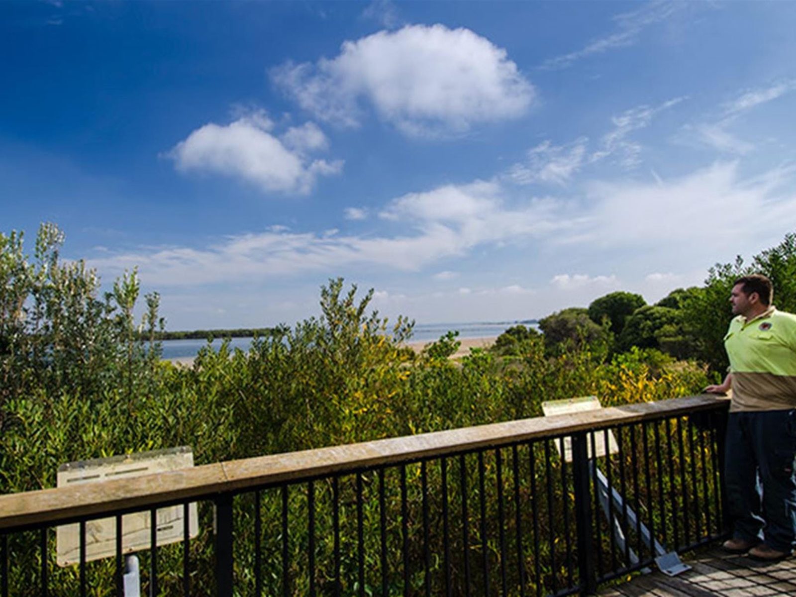 Quibray Bay viewing platform, Towra Point Nature Reserve. Photo: John Spencer/NSW Government