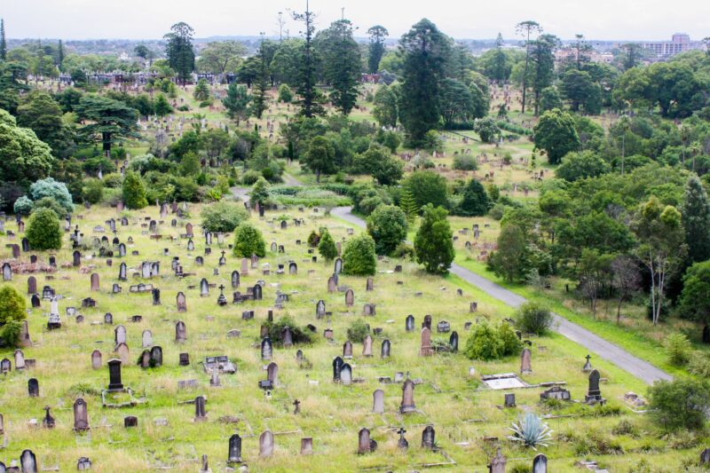 Historic Rookwood Cemetery
