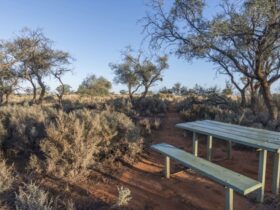 A picnic table at Rosewood picnic area in Mungo National Park. Photo: John Spencer © DPIE