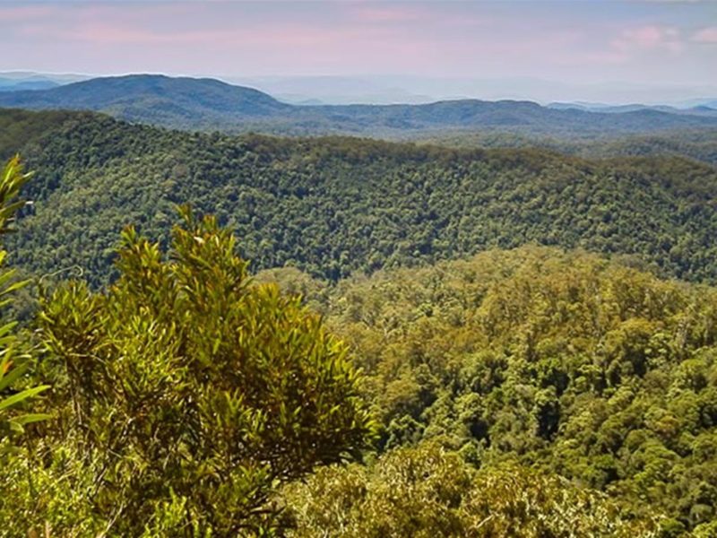 Rowleys Rock lookout, Tapin Tops National Park. Photo: Kevin Carter/NSW Government