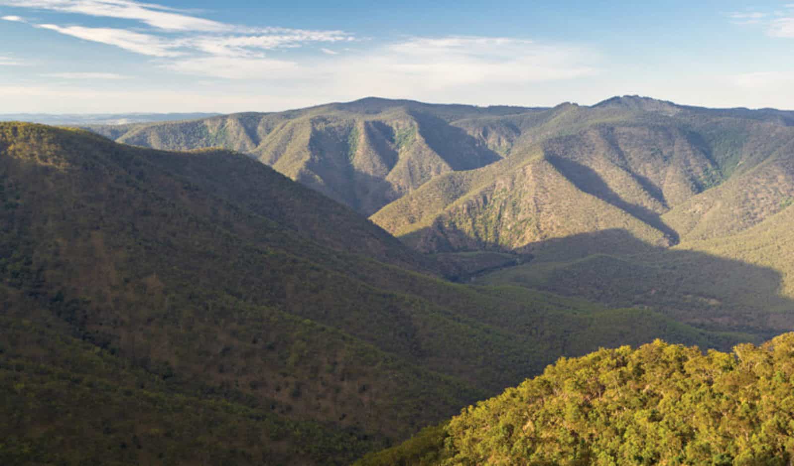 View over Oxley Wild Rivers National Park. Photo: Rob Cleary