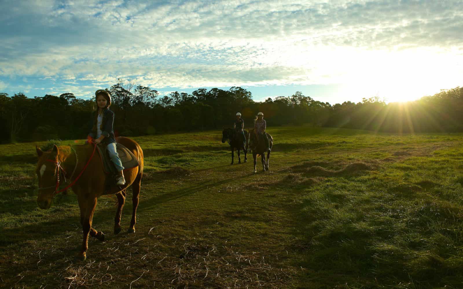 Horseriding at Sundown