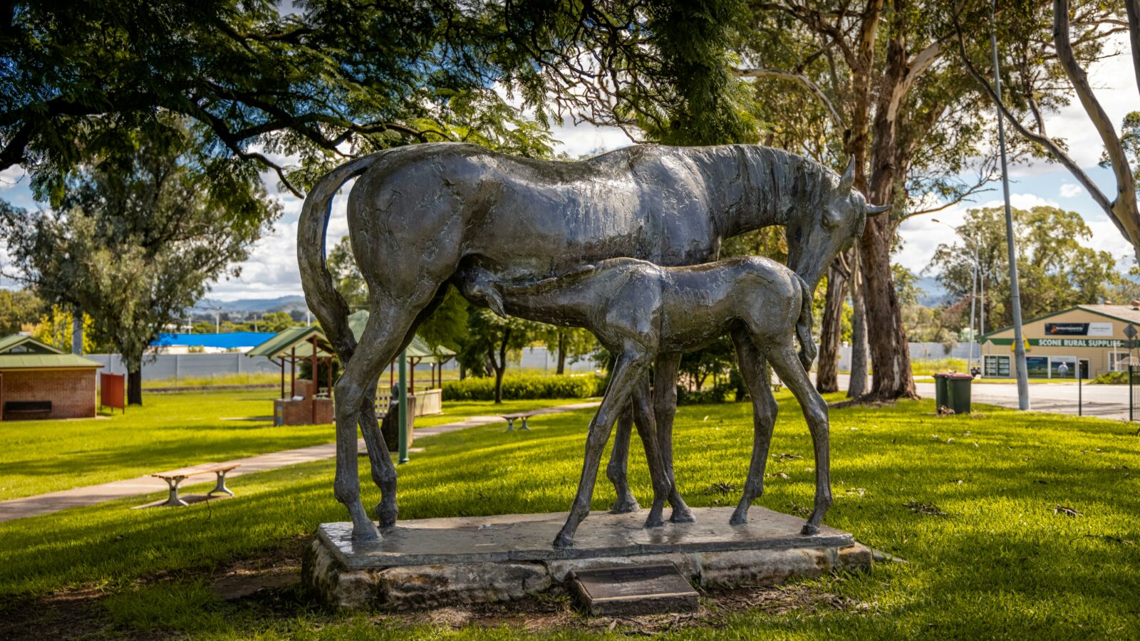 Bronze sculpture of a Mare and Foal in Elizabeth Park in Scone
