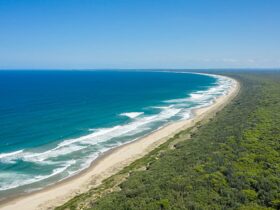 View of Seven Mile Beach looking south in Seven Mile Beach National Park. Photo: John Spencer ©