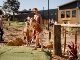 Shanx Mini Golf at The Links Shell Cove