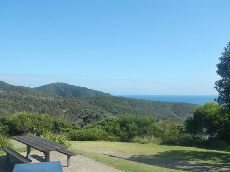 A picnic table at Smoky Cape picnic area, Hat Head National Park. Photo: Debby McGerty © NSW