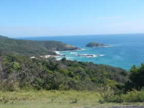 The spectacular view from Smoky Cape picnic area. Photo: Debby McGerty © NSW Government