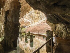 South Glory Cave entrance, Yarrangobilly Caves, Kosciuszko National Park. Photo: Murray