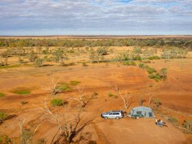 The red dirt of Mount Wood campground in Sturt National Park. Photo: John Spencer/DPIE