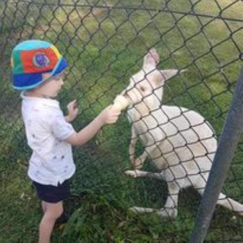 Boy and White Joey