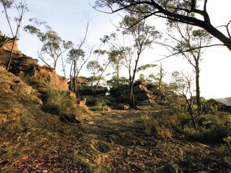 Pagoda, Gardens of Stone National Park. Photo: R Nicolai/NSW Government