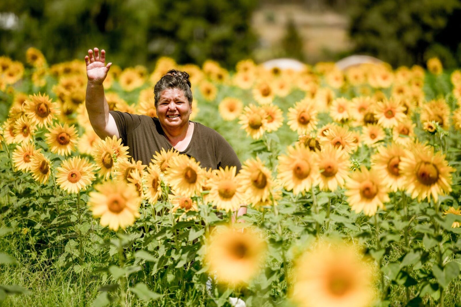 Waving lady surrounded by sunflowers