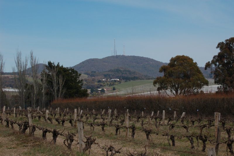 Thornbrook Orchard - set on the foothills of Mt Canobolas