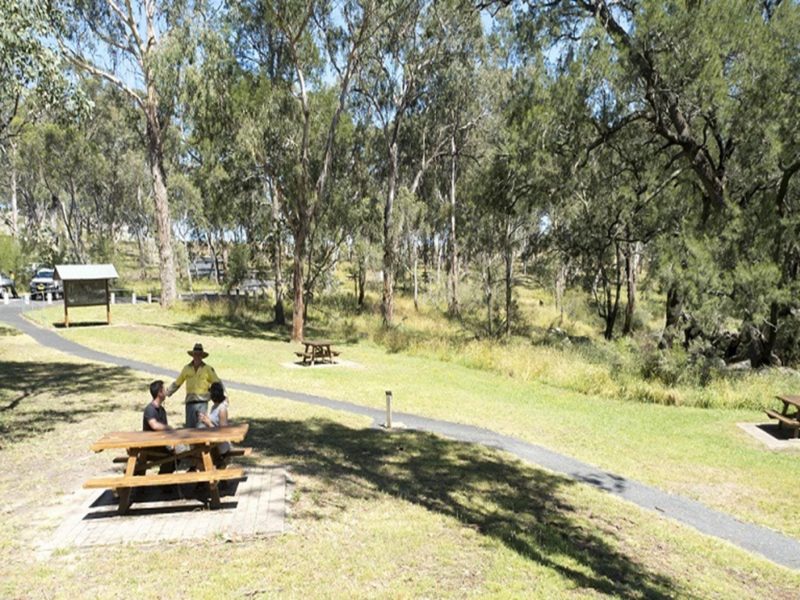 Picnickers chat with an NPWS staff member at Threlfall picnic area. Photo: Leah Pippos ©DPIE