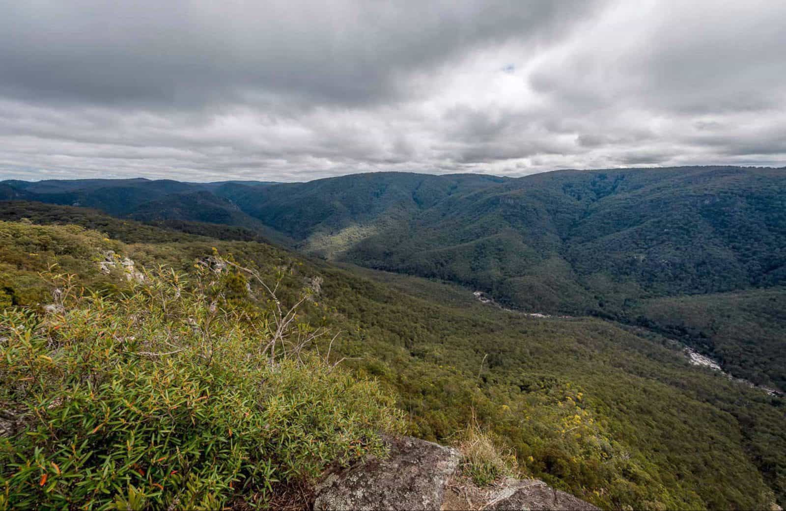 Tommys Rock lookout and walking track, Mann River Nature Reserve. Photo: John Spencer