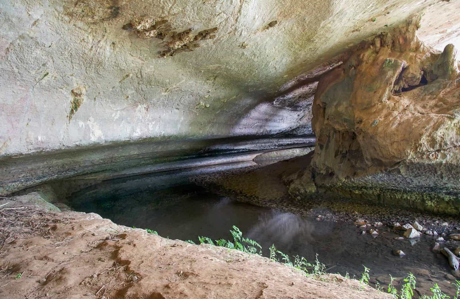 Verandah Cave, Borenore Karst Conservation Reserve. Photo: Steve Woodhall