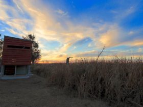 Wood and steel bird hide at the edge of Waterbird Lagoon at sunset. Photo: James Faris/OEH.