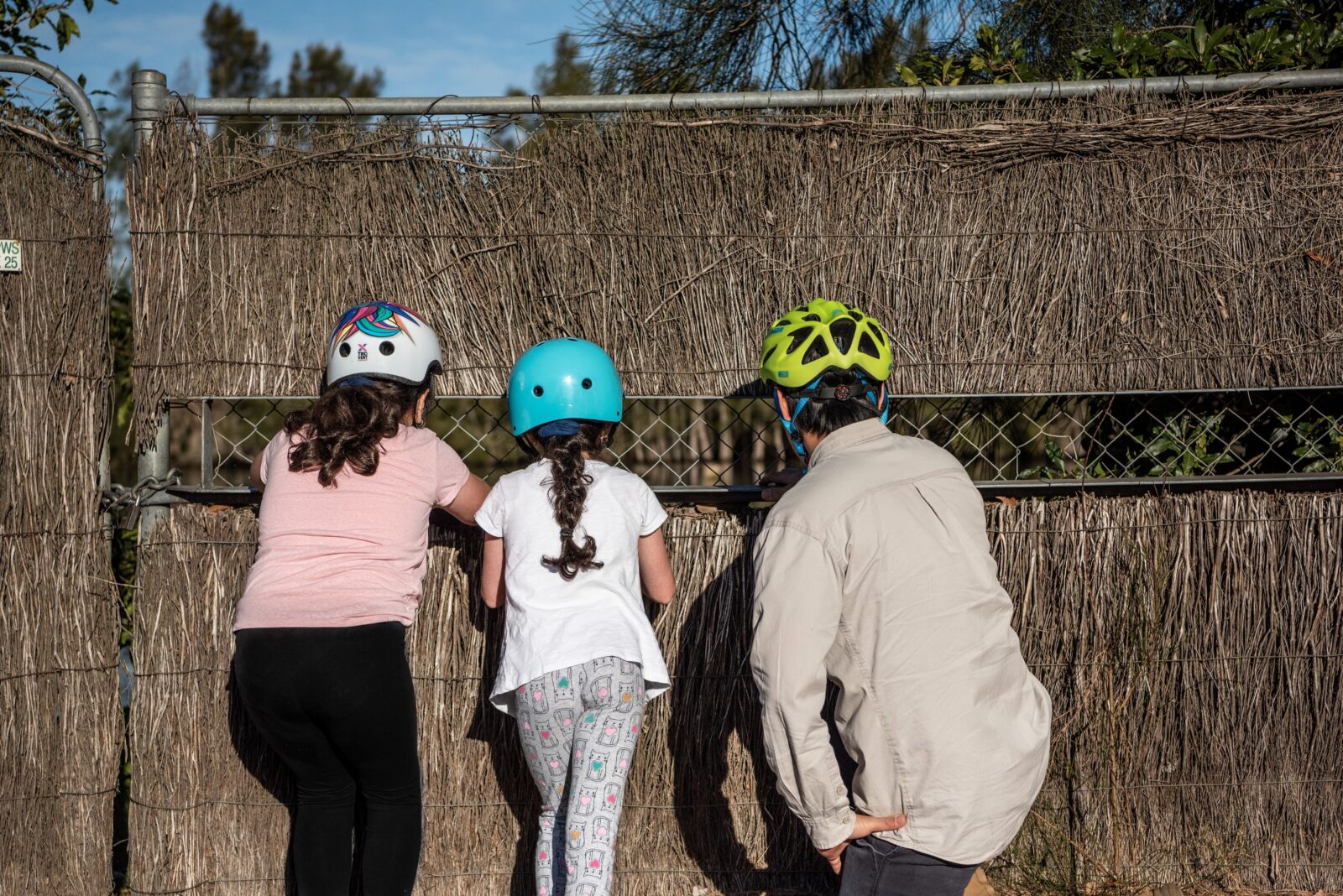 An adult and two children looking away from the camera peeking through a fence to look at the pond