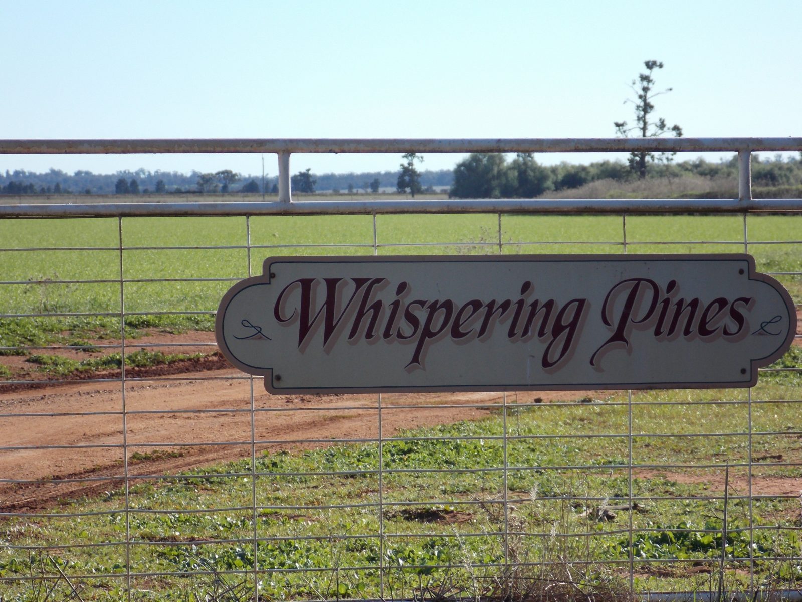 Whispering pines gate
