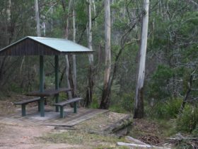 White Rock River picnic area, South East Forest National Park. Photo credit: David Costello ©