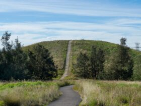 A pathway leading to a grassy hill lookout