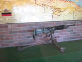 Woodpecker Gun