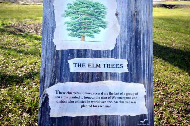 Elm Trees Sign