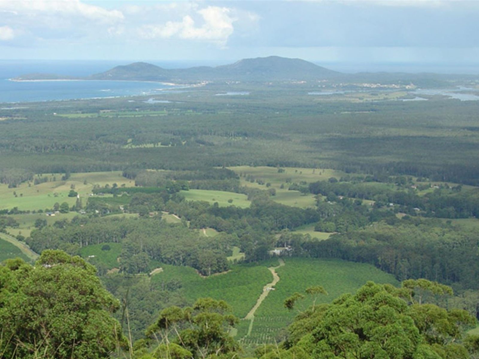 Yarriabini lookout, Yarriabini National Park. Photo: A Turbill/NSW Government