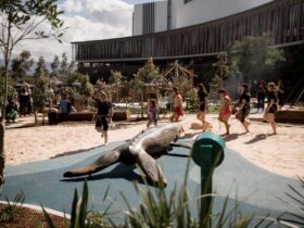 Whale- Play area