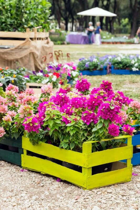 Flowers on display in a yellow crate