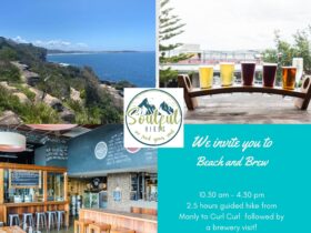 Beach and Brew - Manly location (Men and Women)
