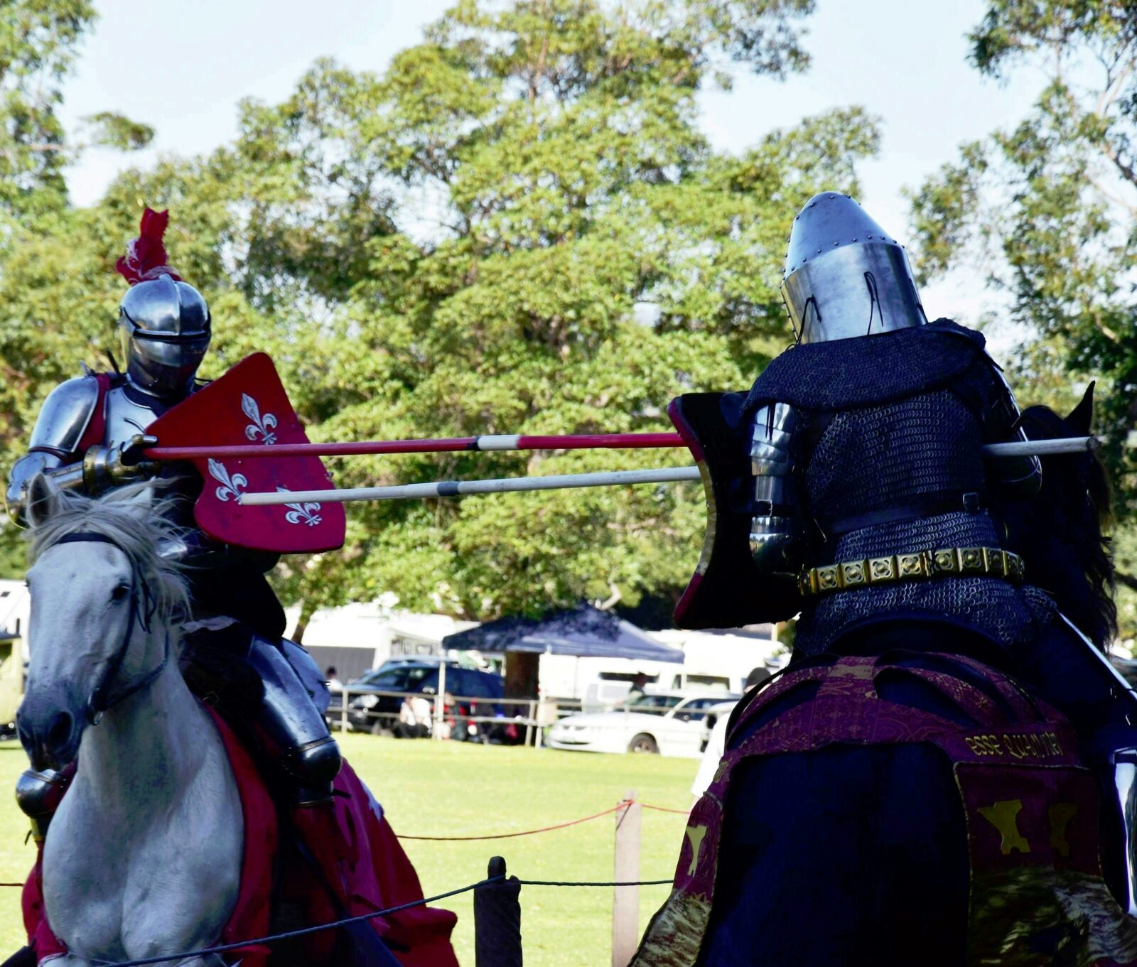 Berry Celtic Festival Jousting Knights