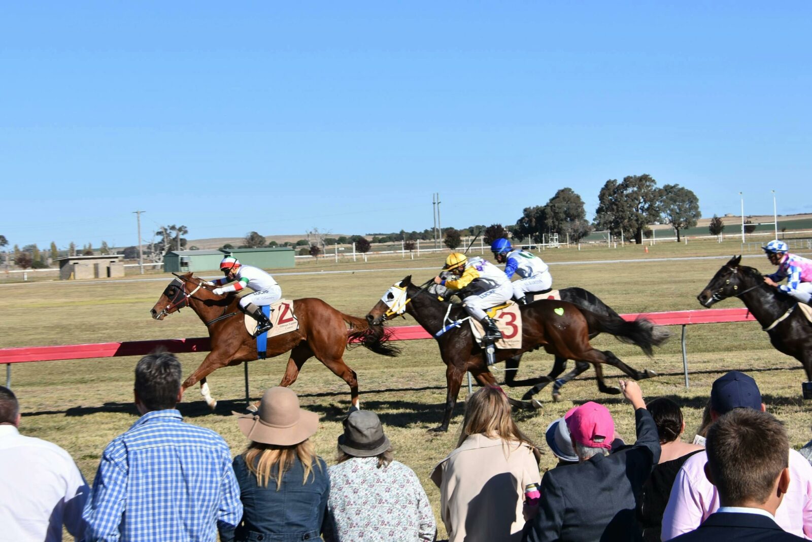 Horses racing with a crowd watching