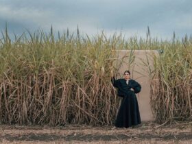 Artist wears all black and stands in front of a field of sugar cane