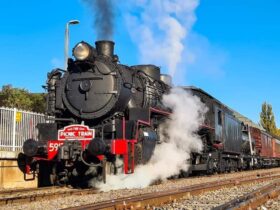 Coffs Harbour & Grafton Steam Train Rides