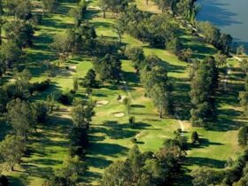 Lush green golf course