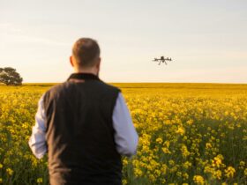 man flying drone in canola crop