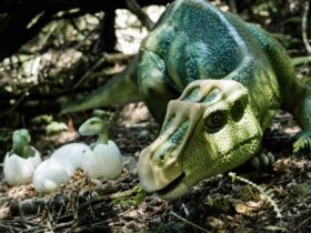 Watch dozens of dinosaurs come to life at Dinosaur Valley