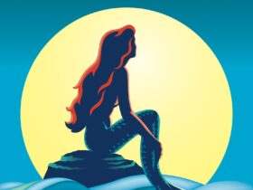 Ariel from Disne's the Little Mermaid sitting on a rock looking at the sunset.