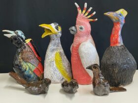 Collection of birds