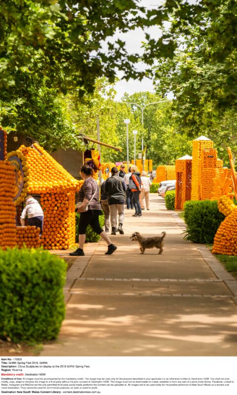 Citrus Sculptures on display at the 2019 Griffith Spring Fest