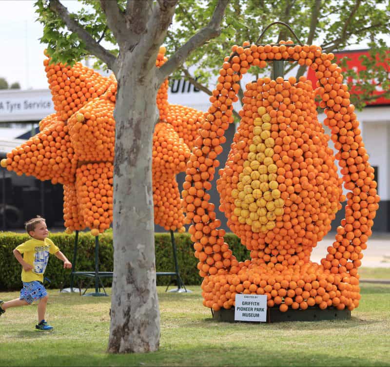 Citrus sculpture fun